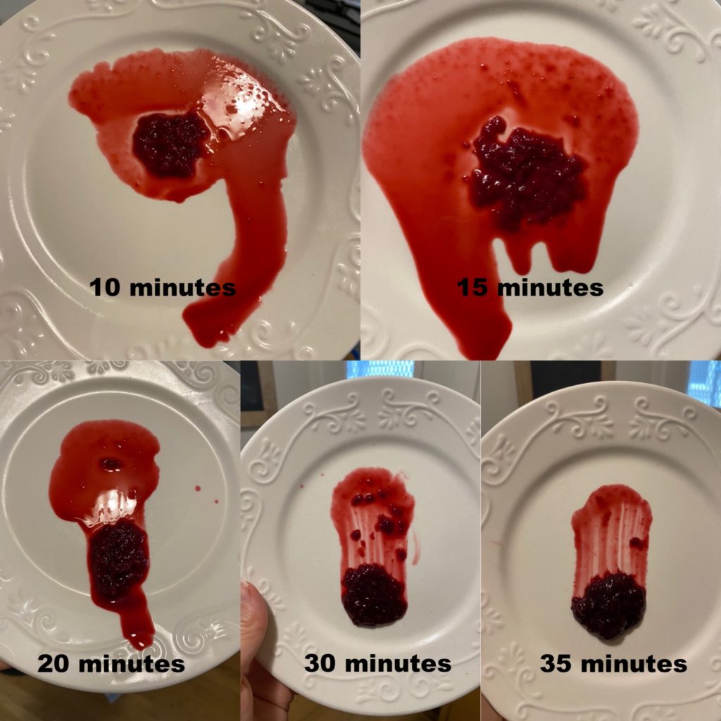 Plate test for testing jam consistency
