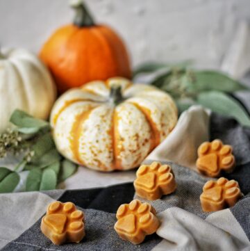 Peanut butter pumpkin frozen dog treats