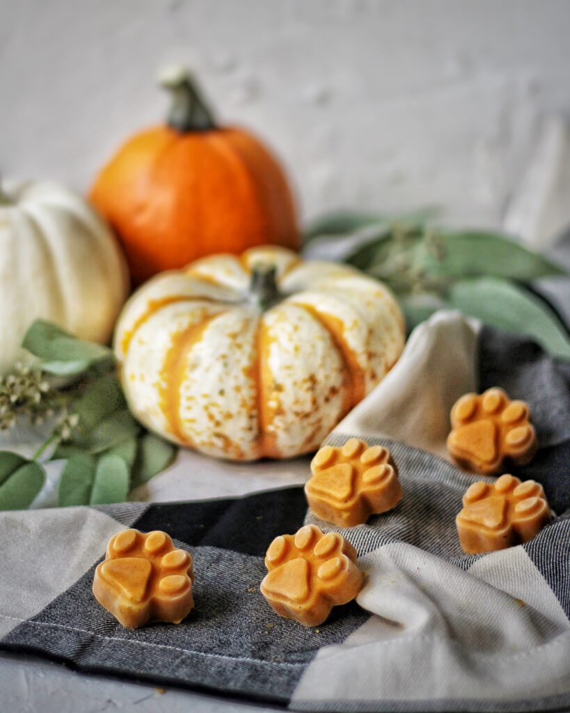 Peanut butter pumpkin frozen dog treats