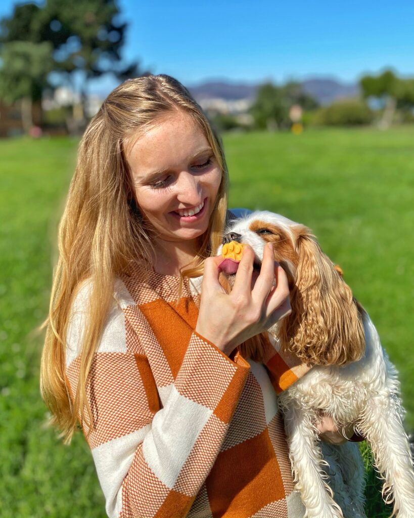 pumpkin frozen dog treats