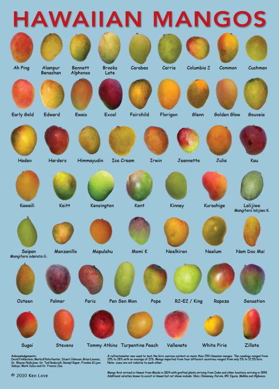 chart of different hawaiian mangos 
