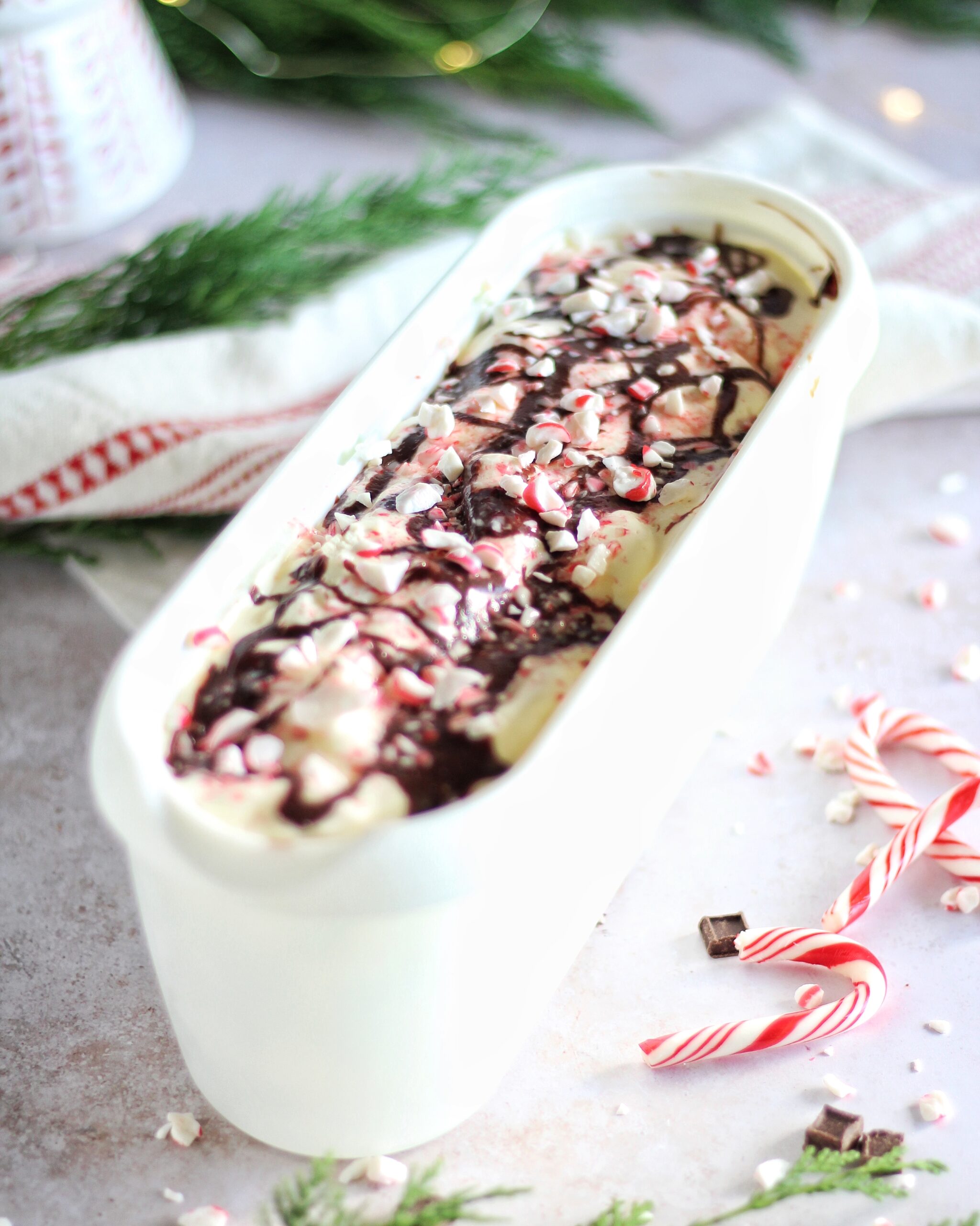 Peppermint bark ice cream in the storage bin from Tovolo 