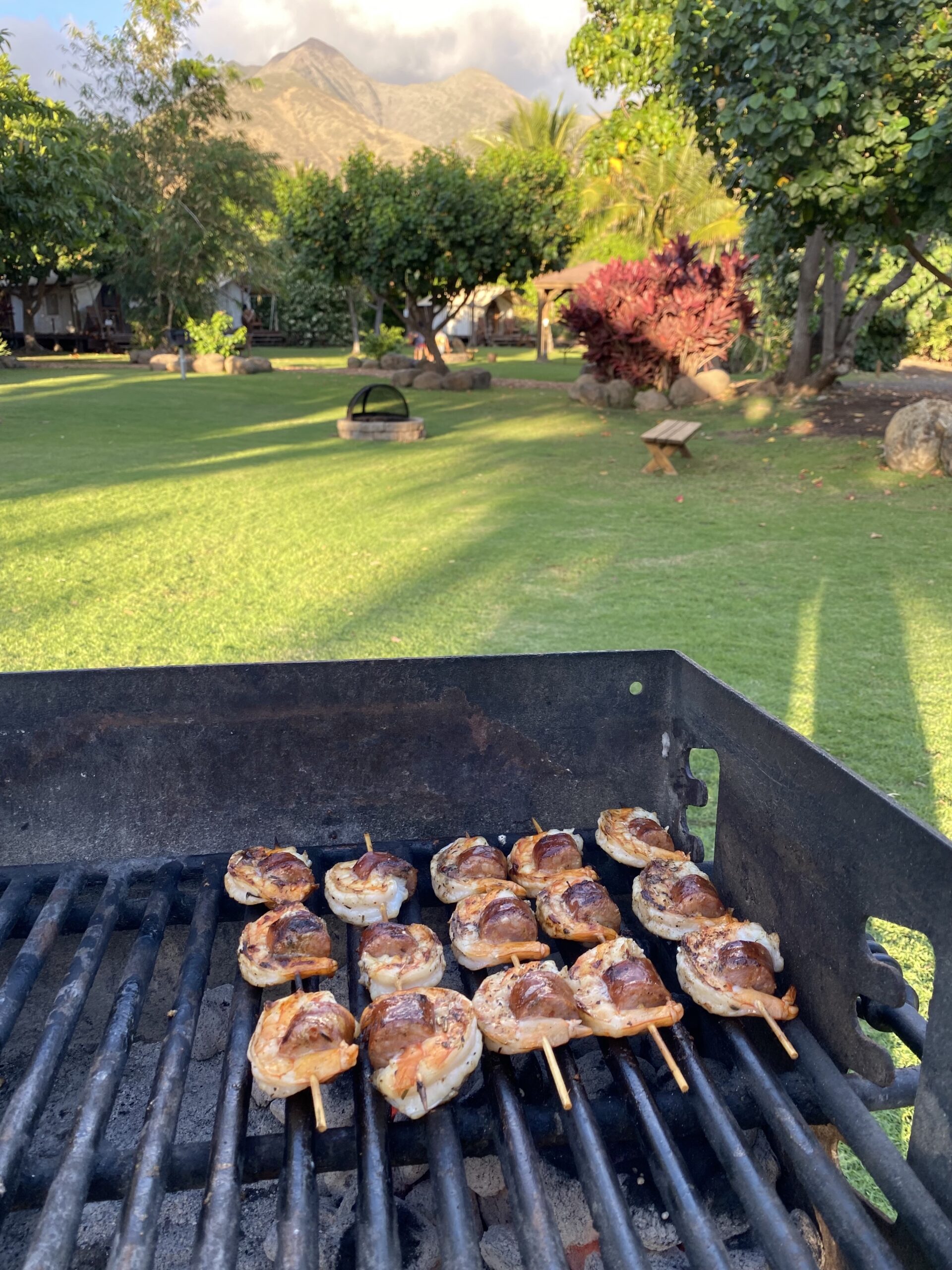 Grilling Shrimp Kabobs, pretty view 